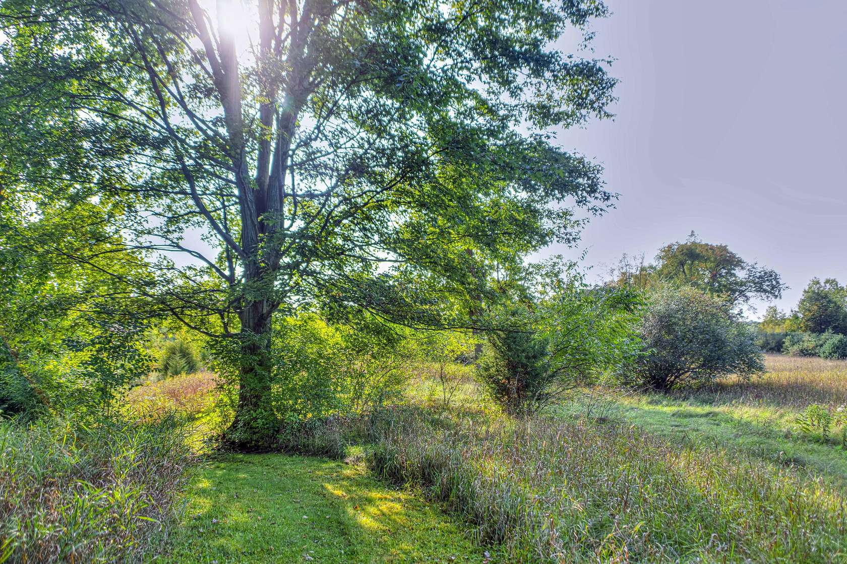 81.73 Acres of Recreational Land for Sale in Grass Lake, Michigan