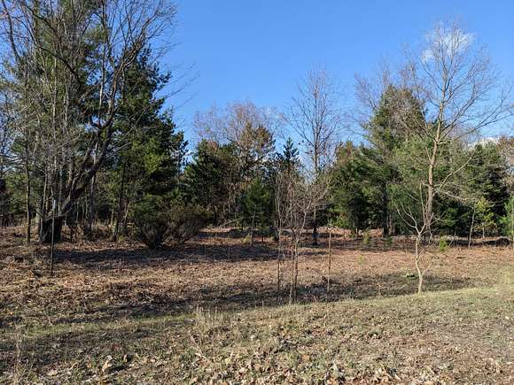 0.45 Acres of Residential Land for Sale in Kaleva, Michigan