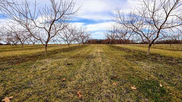 48.3 Acres of Recreational Land for Sale in Eau Claire, Michigan