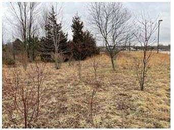 2.35 Acres of Land for Sale in Norton Shores, Michigan