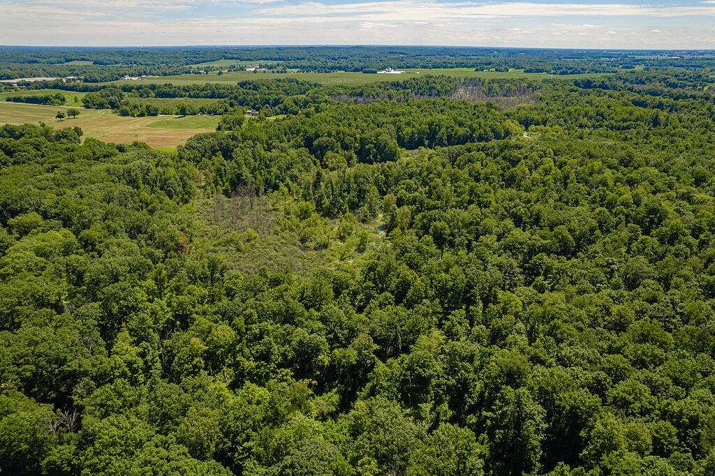 63.5 Acres of Land for Sale in Buchanan, Michigan