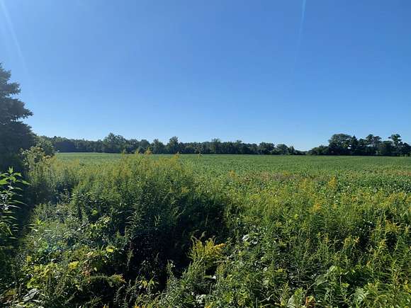 35 Acres of Agricultural Land for Sale in Three Oaks, Michigan