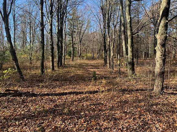 1.5 Acres of Land for Sale in Harbert, Michigan