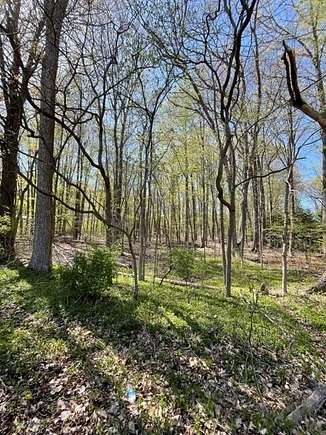 2.9 Acres of Residential Land for Sale in Lakeside, Michigan