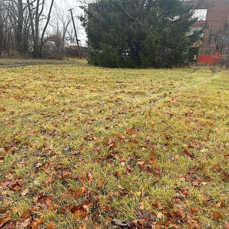 0.32 Acres of Residential Land for Sale in Detroit, Michigan