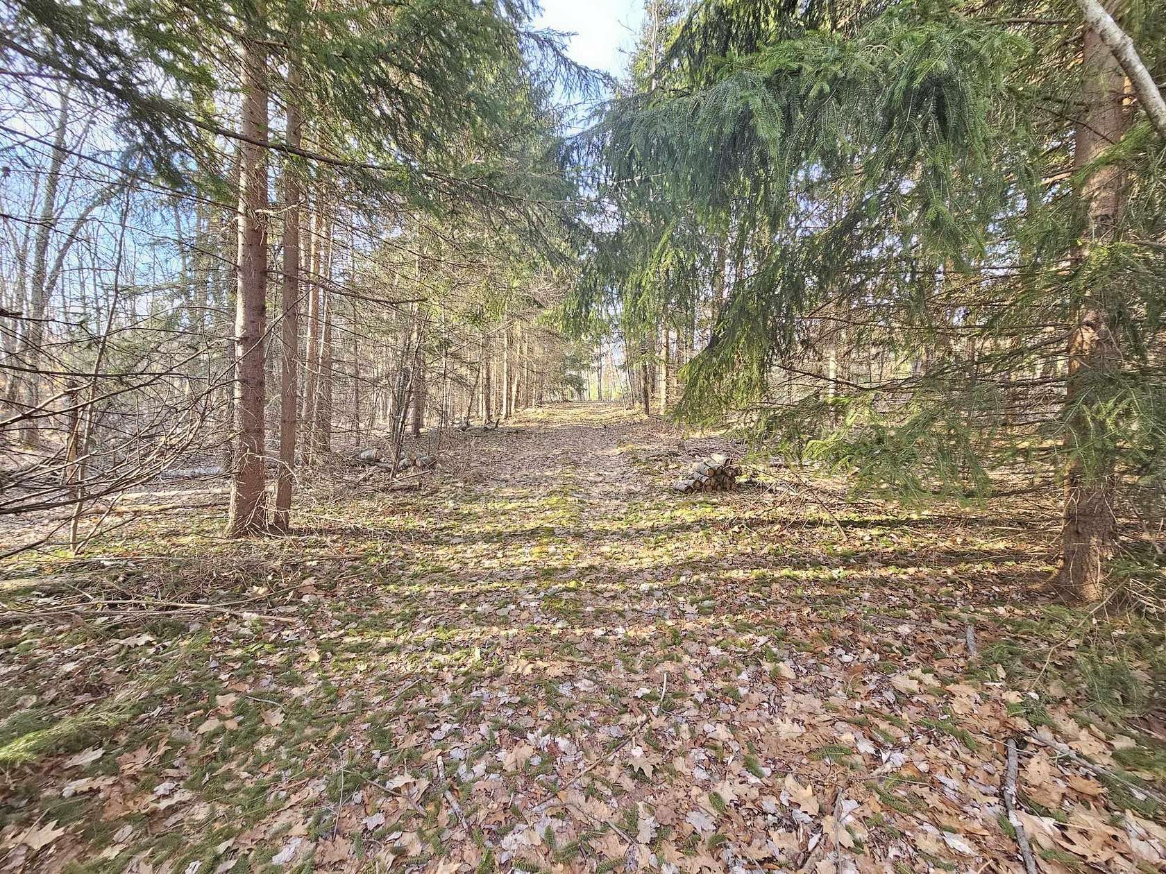 5.5 Acres of Land for Sale in Bitely, Michigan