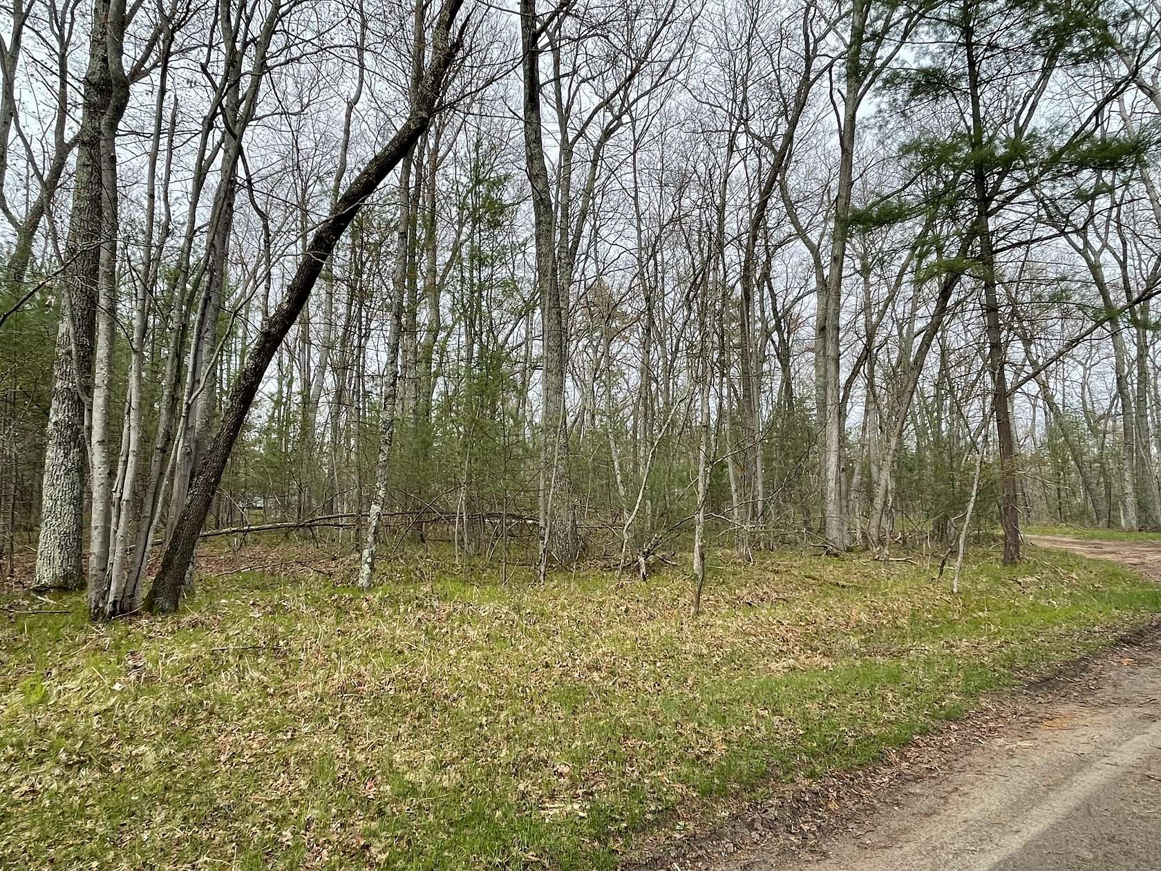 0.68 Acres of Land for Sale in Bitely, Michigan