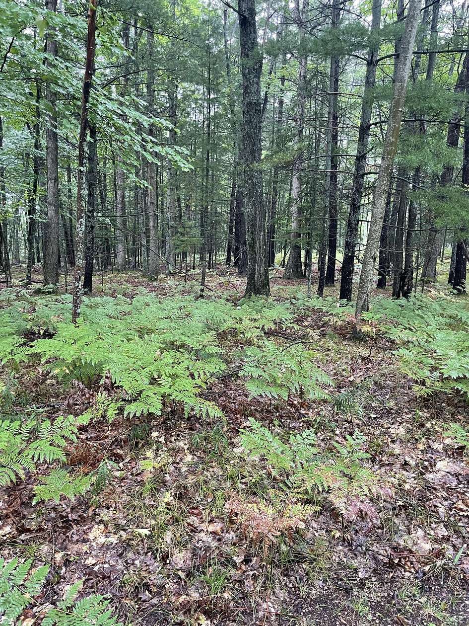 2.4 Acres of Residential Land for Sale in St. Helen, Michigan