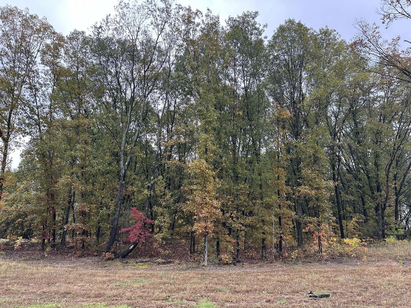 1.1 Acres of Residential Land for Sale in Kalamazoo, Michigan