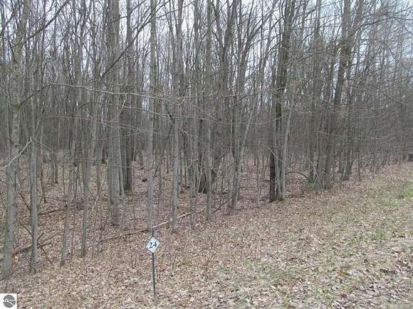 1 Acre of Residential Land for Sale in Lake City, Michigan