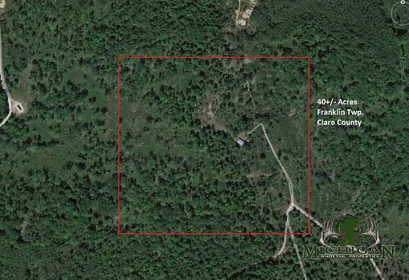 40 Acres of Recreational Land for Sale in Harrison, Michigan
