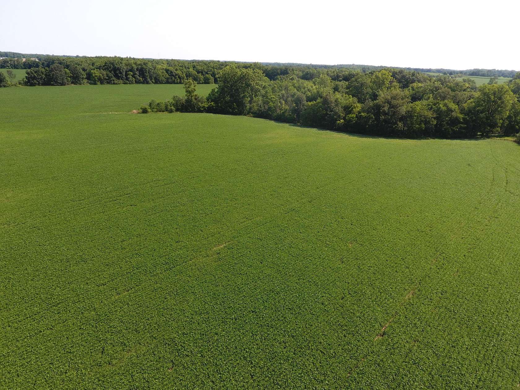 158 Acres of Recreational Land & Farm for Sale in Clinton, Michigan