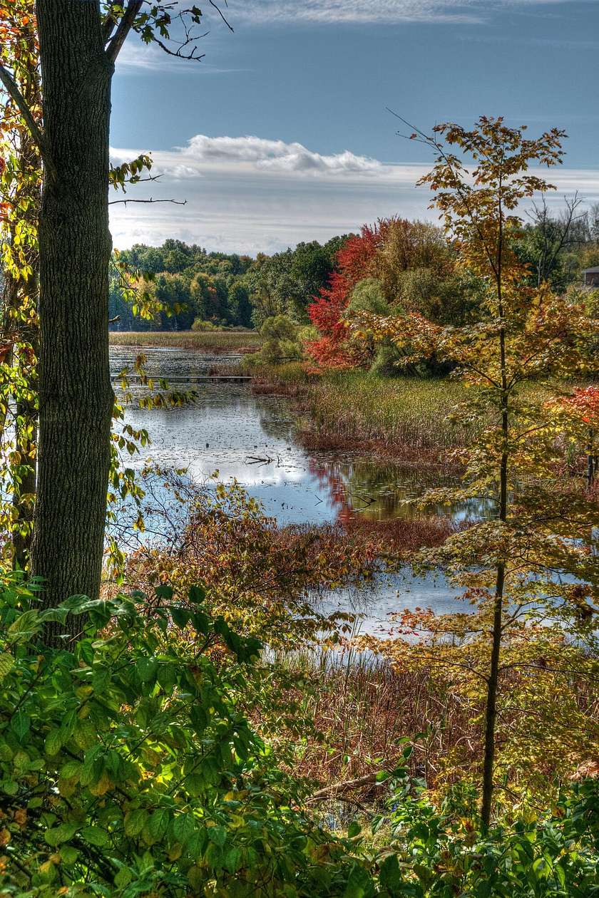 0.25 Acres of Residential Land for Sale in Richland, Michigan