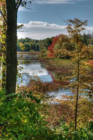 0.25 Acres of Residential Land for Sale in Richland, Michigan