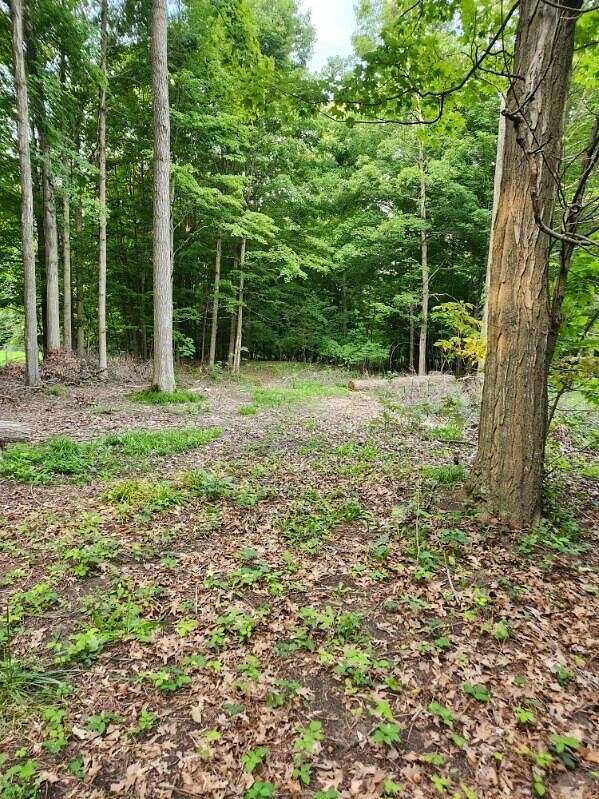 0.48 Acres of Residential Land for Sale in Stanton, Michigan