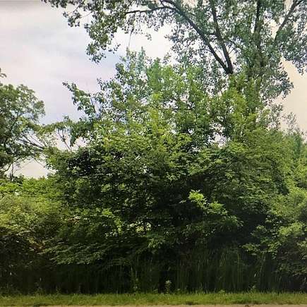 2.5 Acres of Residential Land for Sale in Belleville, Michigan