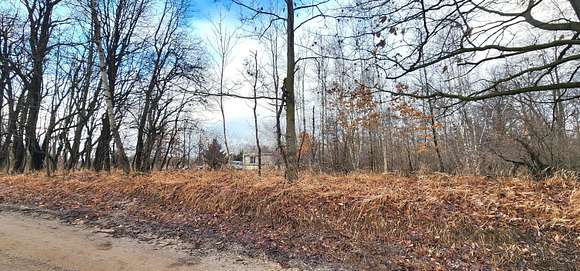 10.1 Acres of Land with Home for Sale in Stanton, Michigan
