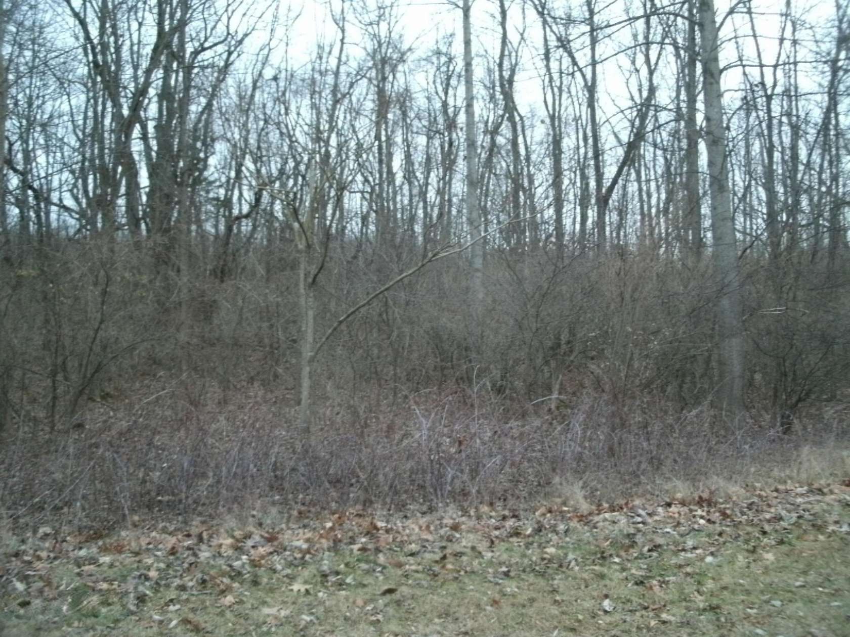 0.54 Acres of Residential Land for Sale in Niles, Michigan
