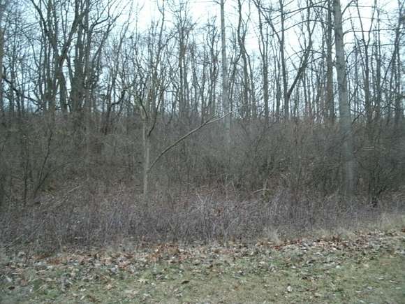 0.54 Acres of Residential Land for Sale in Niles, Michigan