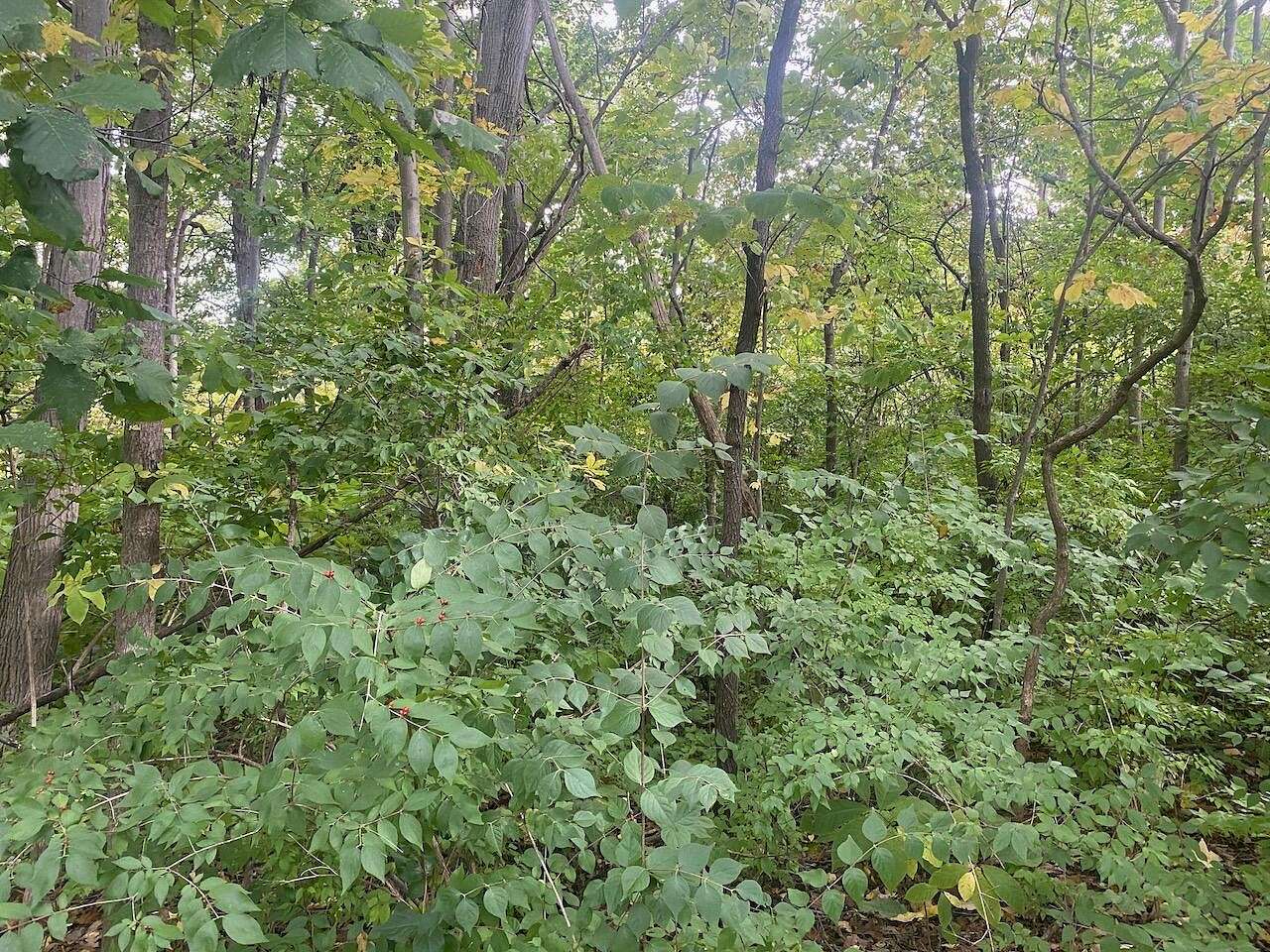 0.66 Acres of Residential Land for Sale in Niles, Michigan