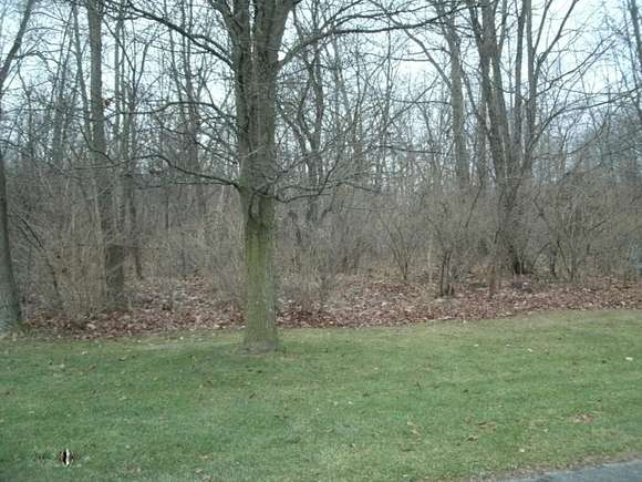 0.45 Acres of Residential Land for Sale in Niles, Michigan