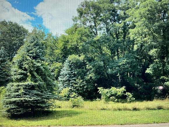 1 Acre of Residential Land for Sale in Augusta, Michigan