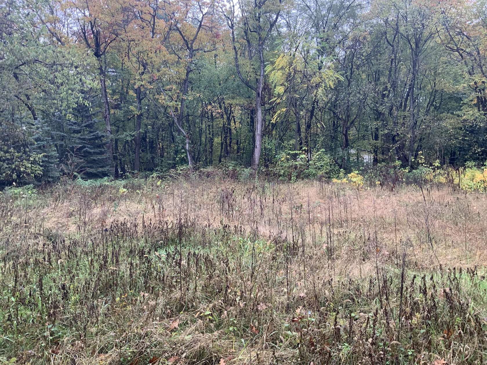 0.19 Acres of Residential Land for Sale in Allegan, Michigan