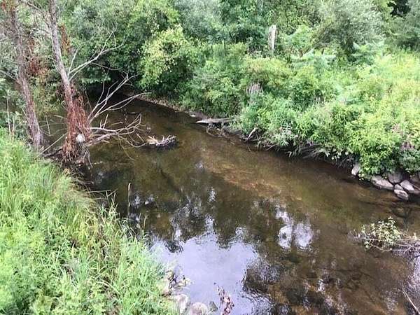 18.3 Acres of Recreational Land for Sale in Cedar Springs, Michigan