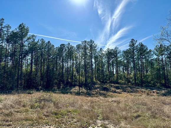 216 Acres of Recreational Land for Sale in Tibbie, Alabama