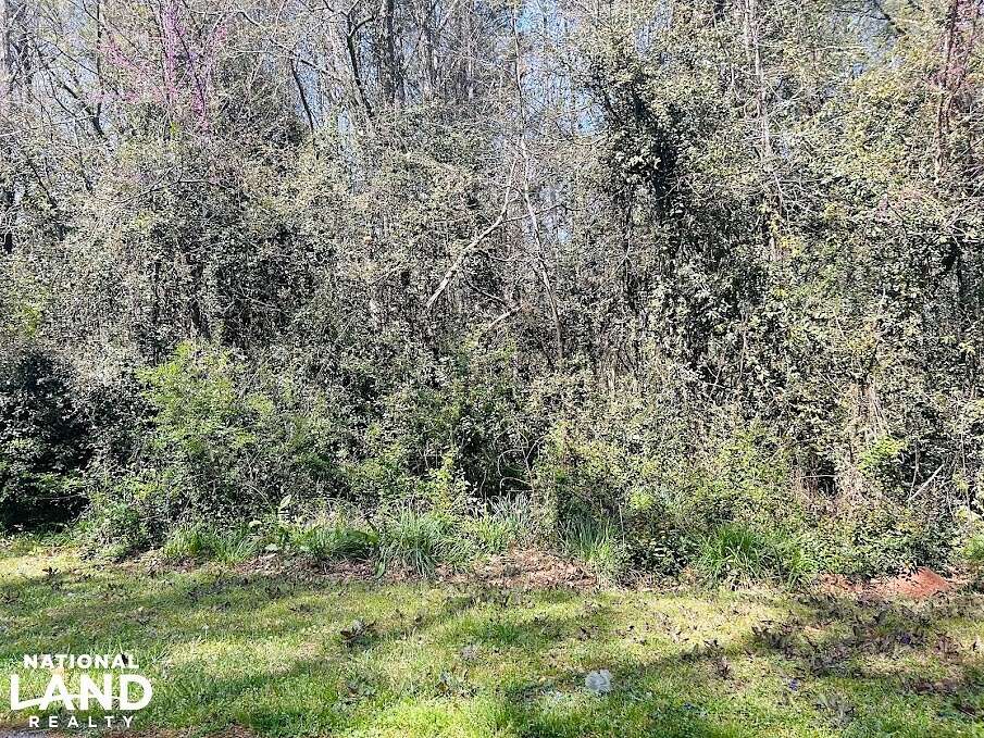 2.8 Acres of Residential Land for Sale in Grantville, Georgia