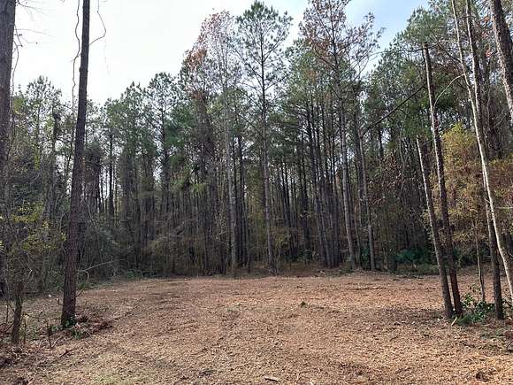 3.3 Acres of Residential Land for Sale in Walker, Louisiana
