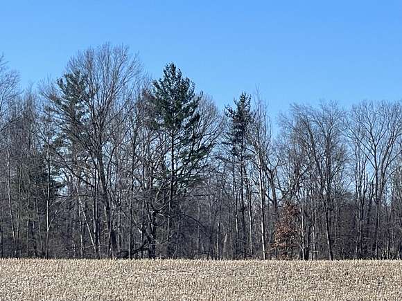51.8 Acres of Land for Sale in Sand Lake, Michigan