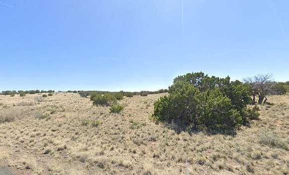 1 Acre of Residential Land for Sale in Sanders, Arizona