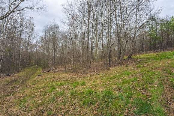 11 Acres of Land for Auction in Danville, Virginia