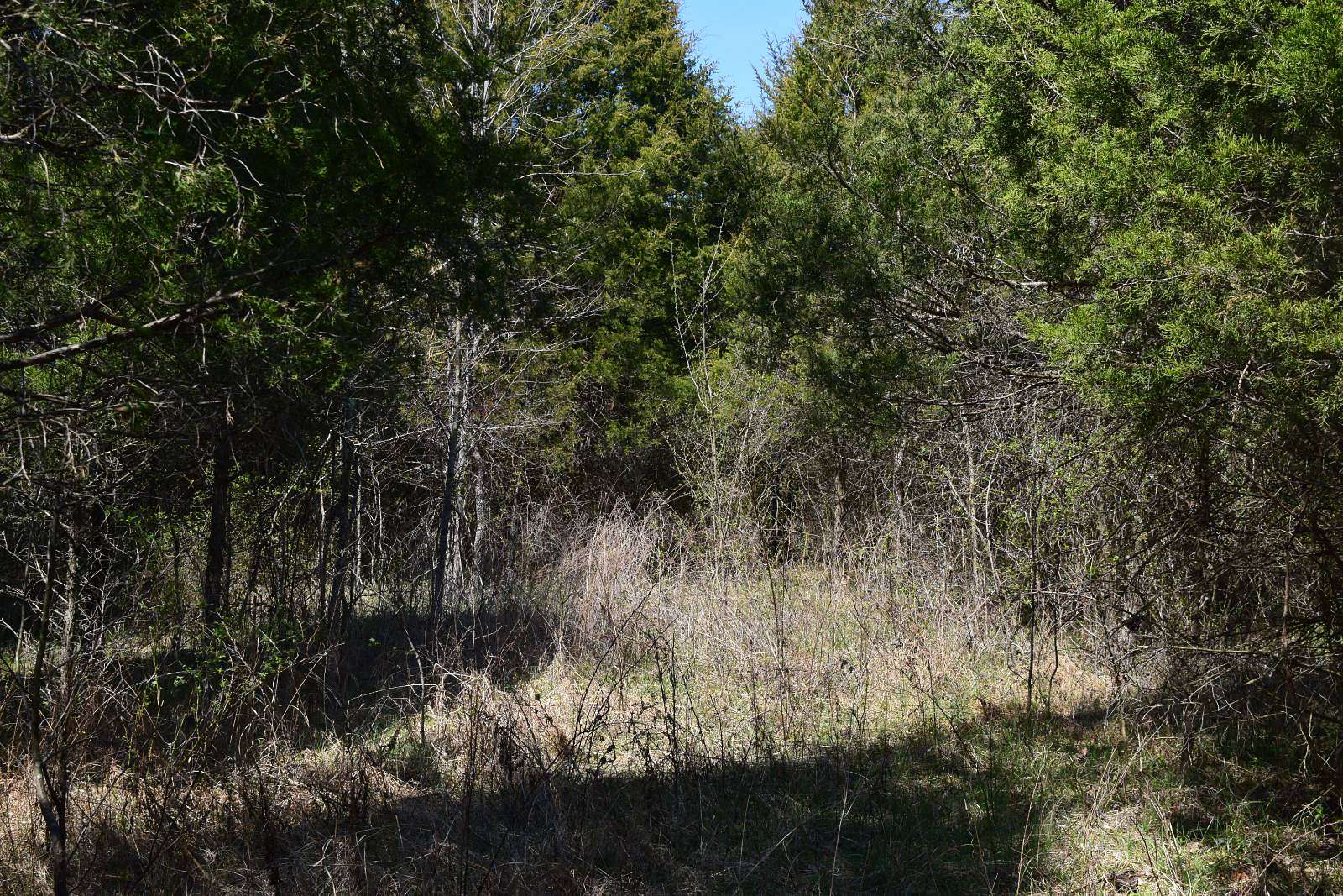 3.6 Acres of Land for Sale in English, Indiana