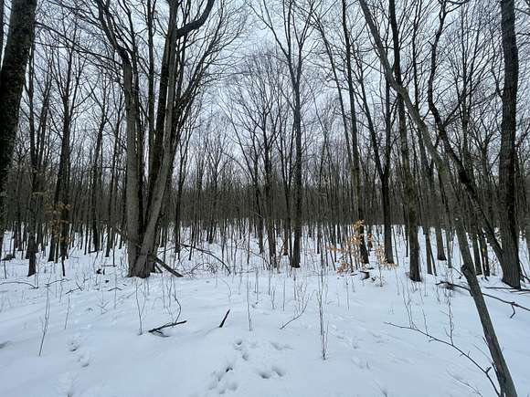 40 Acres of Recreational Land for Sale in Reed City, Michigan