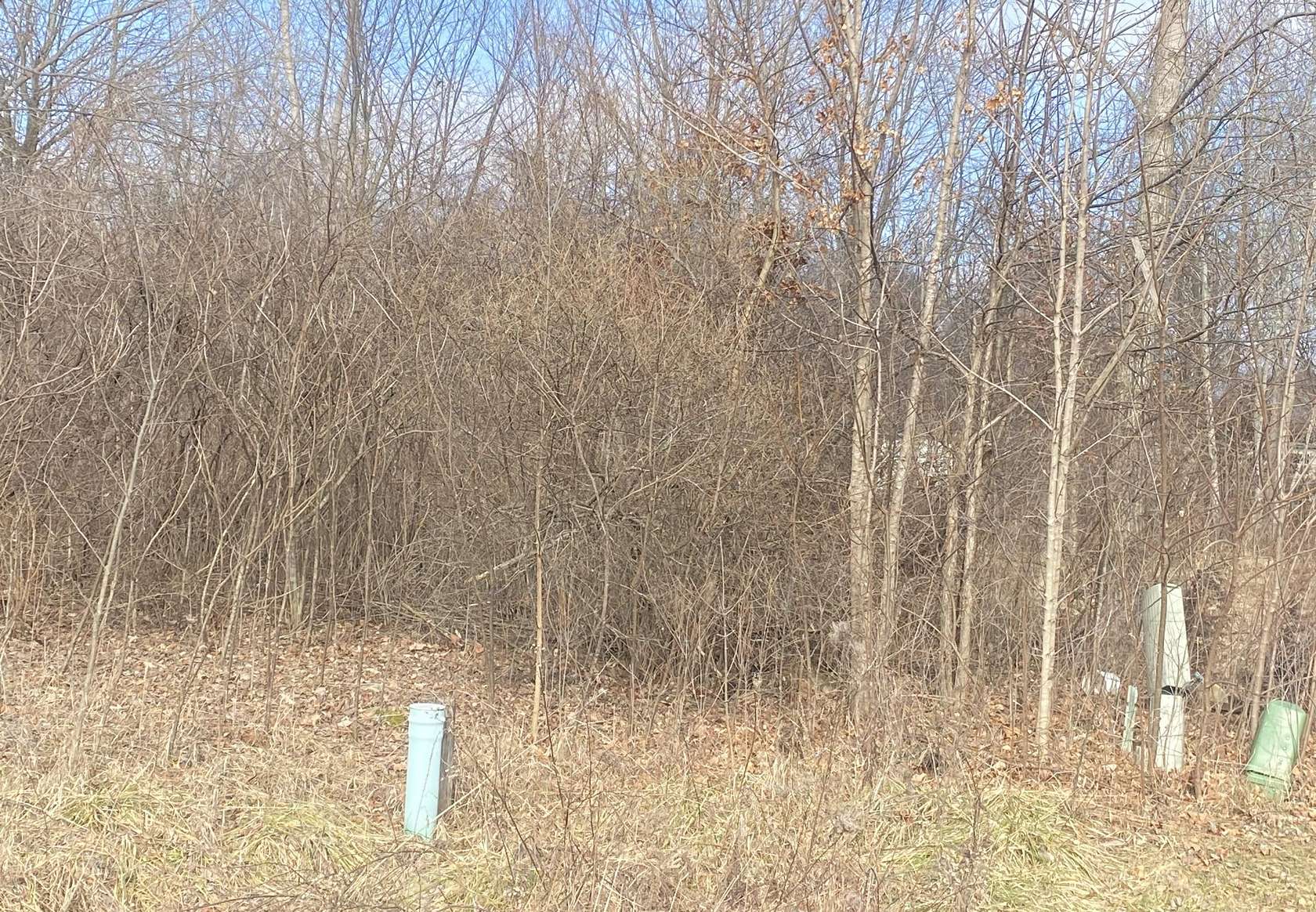 0.3 Acres of Residential Land for Sale in Quincy, Michigan