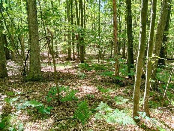 2.1 Acres of Residential Land for Sale in Nunica, Michigan