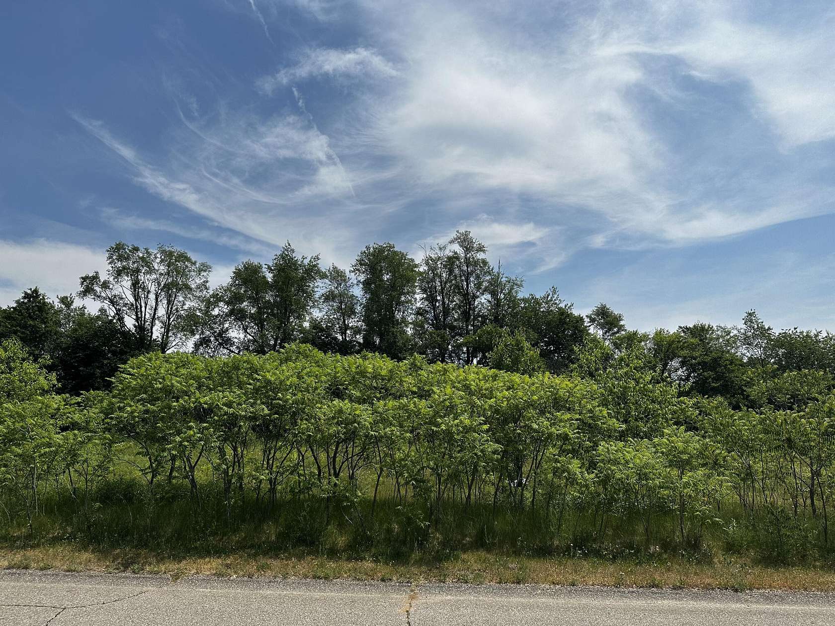 1 Acre of Land for Sale in Kalamazoo, Michigan