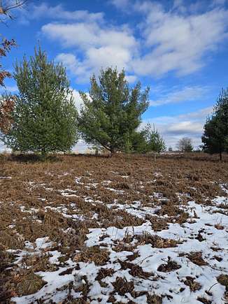 0.42 Acres of Residential Land for Sale in Evart, Michigan