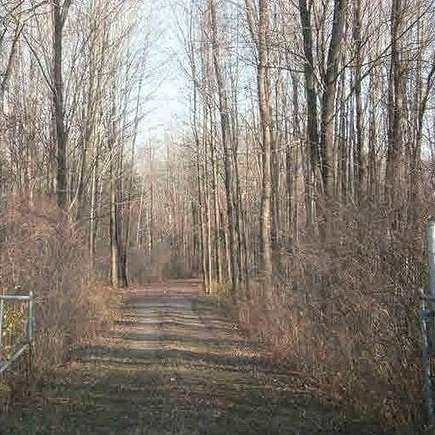 40 Acres of Agricultural Land for Sale in Vassar, Michigan