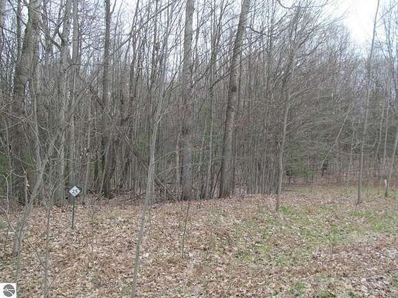 1 Acre of Residential Land for Sale in Lake City, Michigan