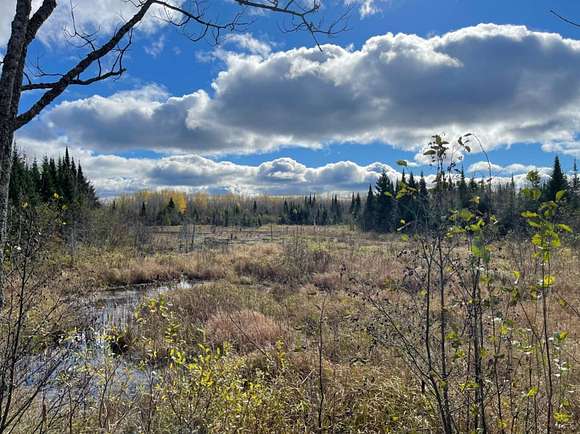 164 Acres of Recreational Land for Sale in Brimley, Michigan
