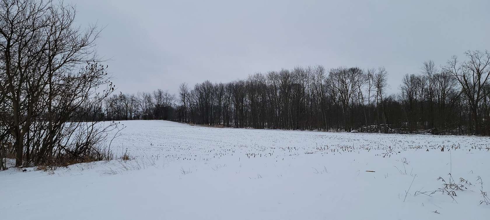 35.3 Acres of Land for Sale in Allen, Michigan