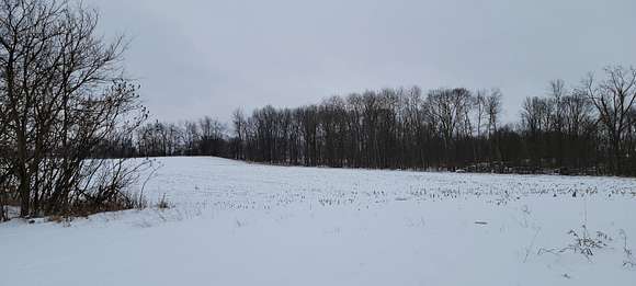 35.3 Acres of Land for Sale in Allen, Michigan