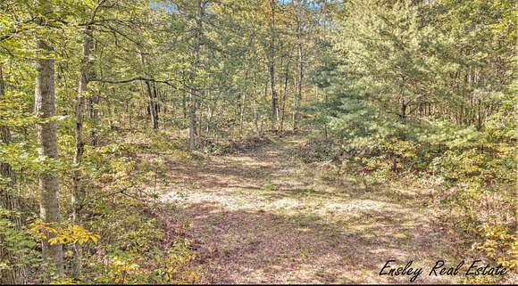 5.5 Acres of Land for Sale in Newaygo, Michigan