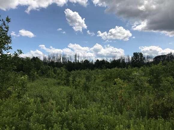 22.4 Acres of Recreational Land for Sale in Cedar Springs, Michigan
