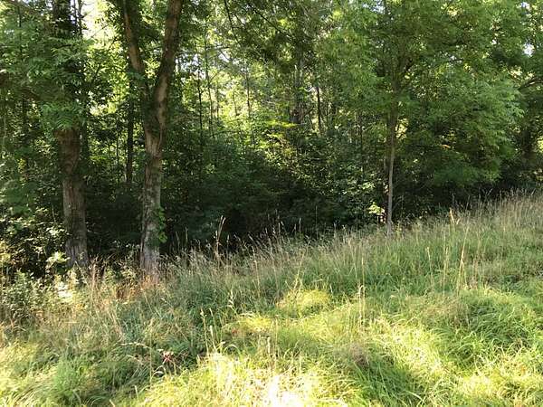 7.5 Acres of Commercial Land for Sale in Paw Paw, Michigan