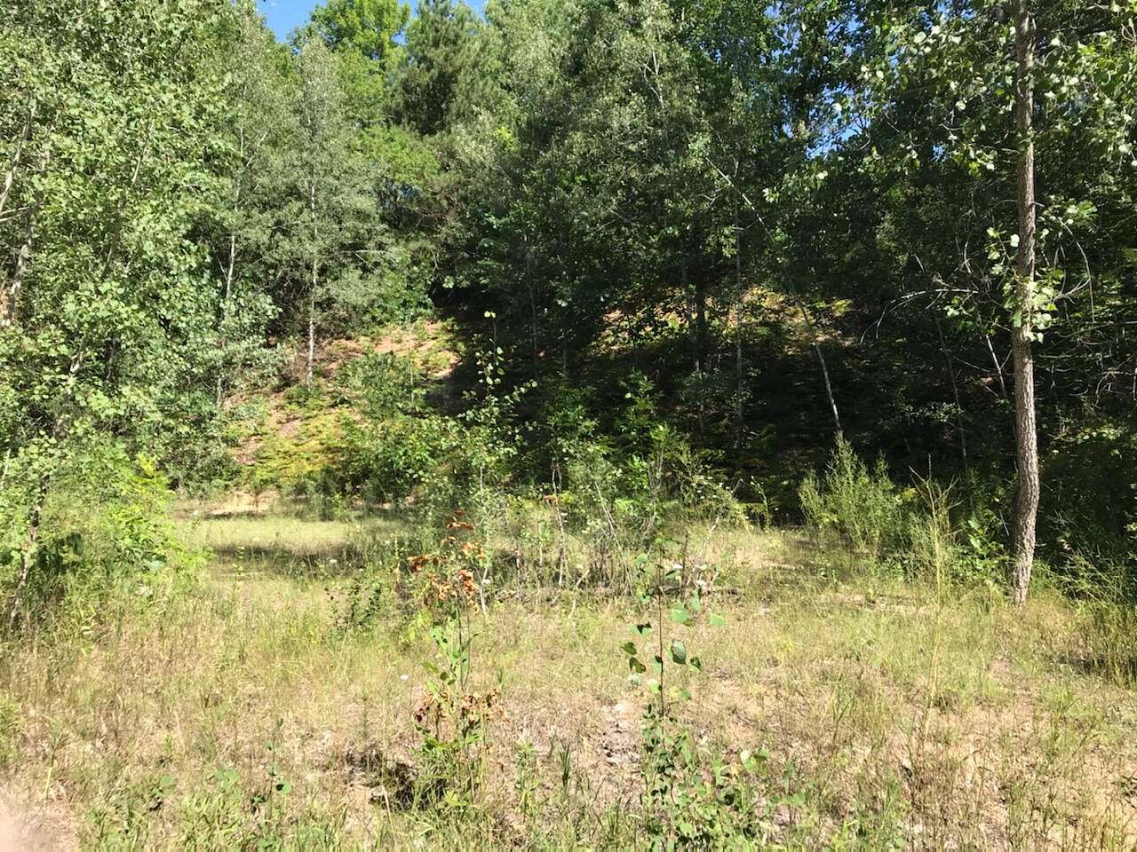 1 Acre of Residential Land for Sale in Hesperia, Michigan
