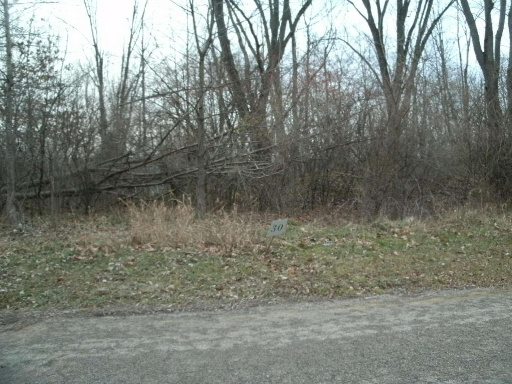 0.46 Acres of Residential Land for Sale in Niles, Michigan